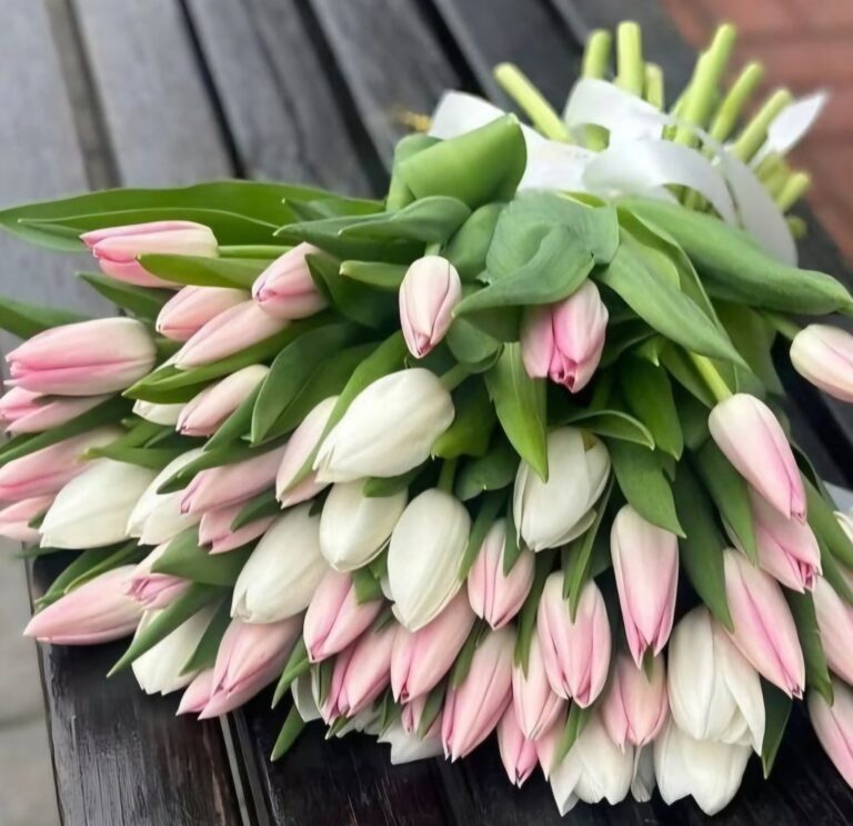 Pastel Mix Tulips