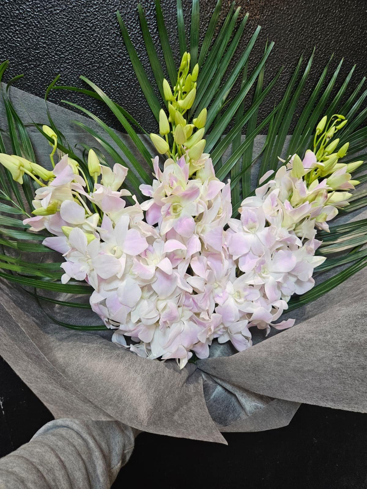Singapore orchids bouquet Manly florist - exotic flower delivery Northern Beaches Sydney