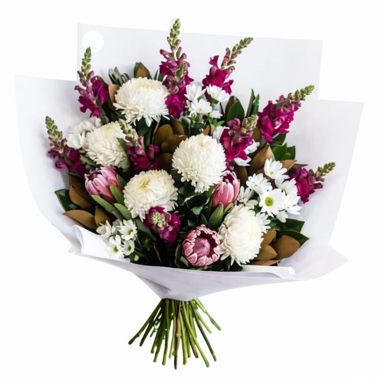 Mums & Proteias